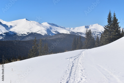 Ski tracks surrounded by snow-covered peaks