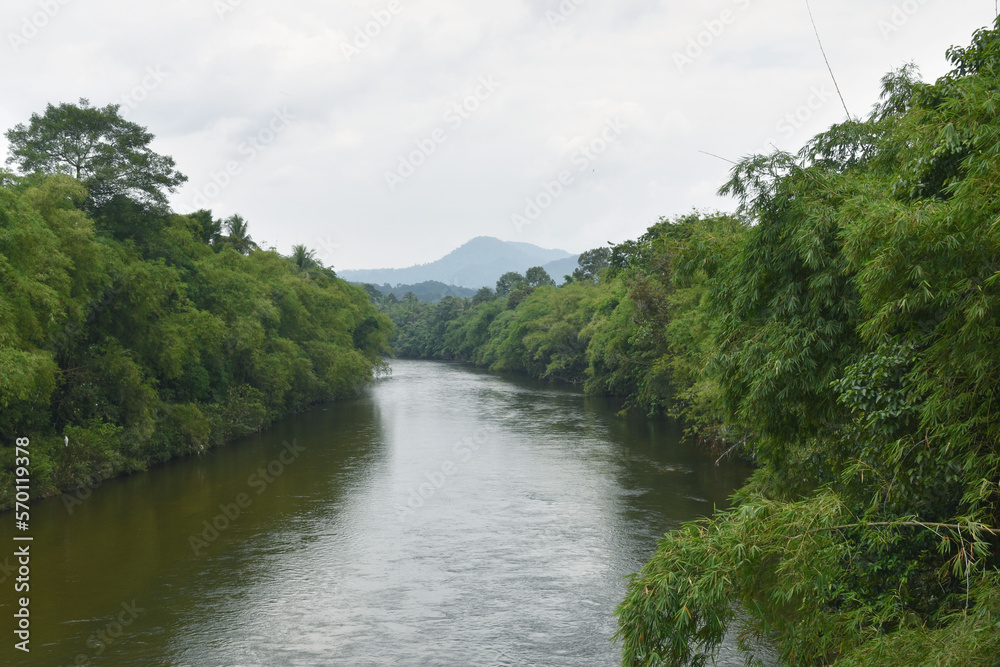 River flows through the green forest, very quiet and beautiful River flows through the green forest, very quiet and beautiful