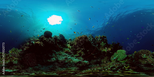 Fototapeta Naklejka Na Ścianę i Meble -  Tropical coral reef. Underwater fishes and corals. Underwater fish reef marine. Philippines. Virtual Reality 360.