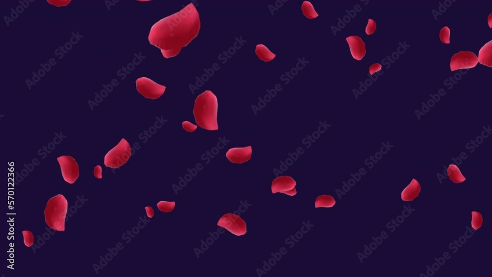 Animation of red rose petals falling on black background Animation of red rose petals falling on black background
