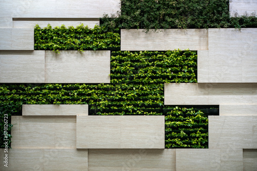 Wall in modern interior with blocks and vertical garden.