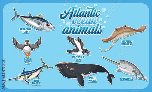 Set of Animals in the Atlantic Ocean