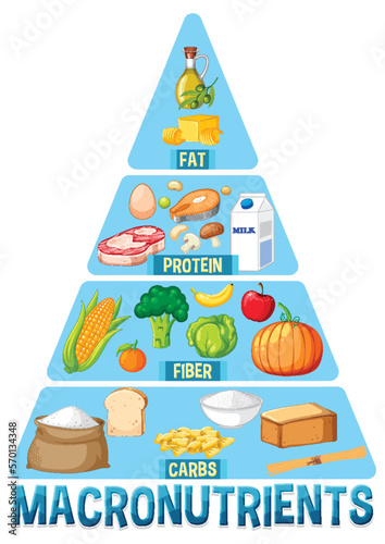 Food nutrition groups pyramid