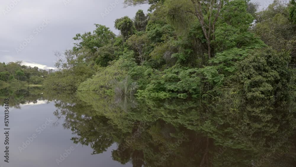 Point Of View Of Green Forest Under Clouds By Sea - Manaus, Brazil Point Of View Of Green Forest Under Clouds By Sea - Manaus, Brazil