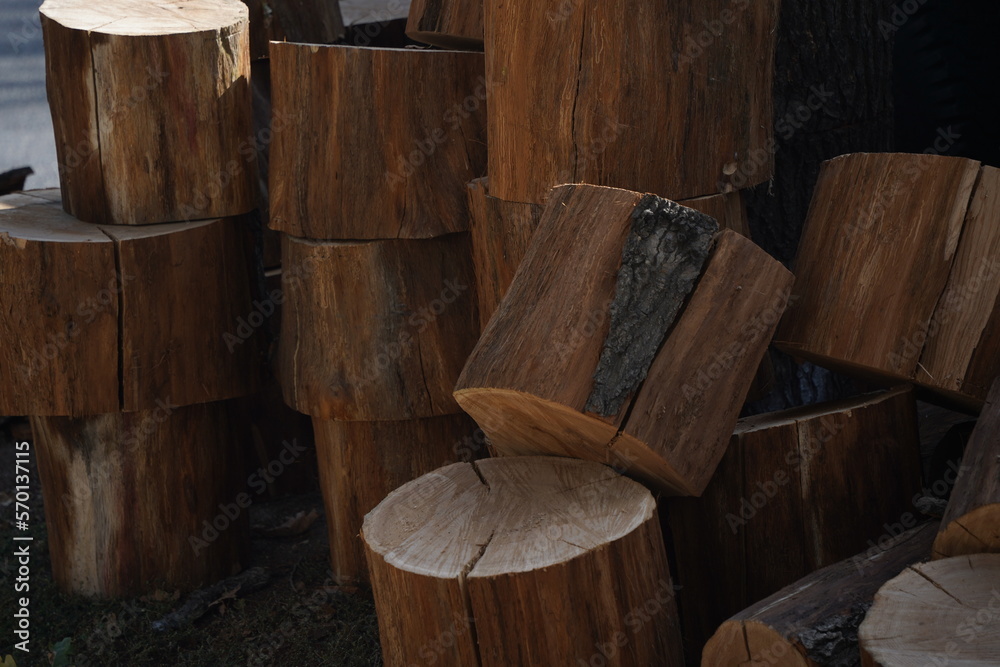 Small pieces of sawn wood are stacked on top of each other in a city park. Small pieces of sawn wood are stacked on top of each other in a city park.