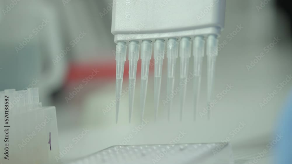Close-up of a laboratory pipette tool collecting the sample liquid for analysis. Using laboratory pipette for examination of the gathered liquid substance. Laboratory pipette transferring liquid drops Close-up of a laboratory pipette tool collecting the sample liquid for analysis. Using laboratory pipette for examination of the gathered liquid substance. Laboratory pipette transferring liquid drops