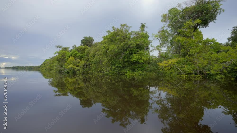 Point Of View Reflection Of Green Plants In Amazon River - Manaus, Brazil Point Of View Reflection Of Green Plants In Amazon River - Manaus, Brazil