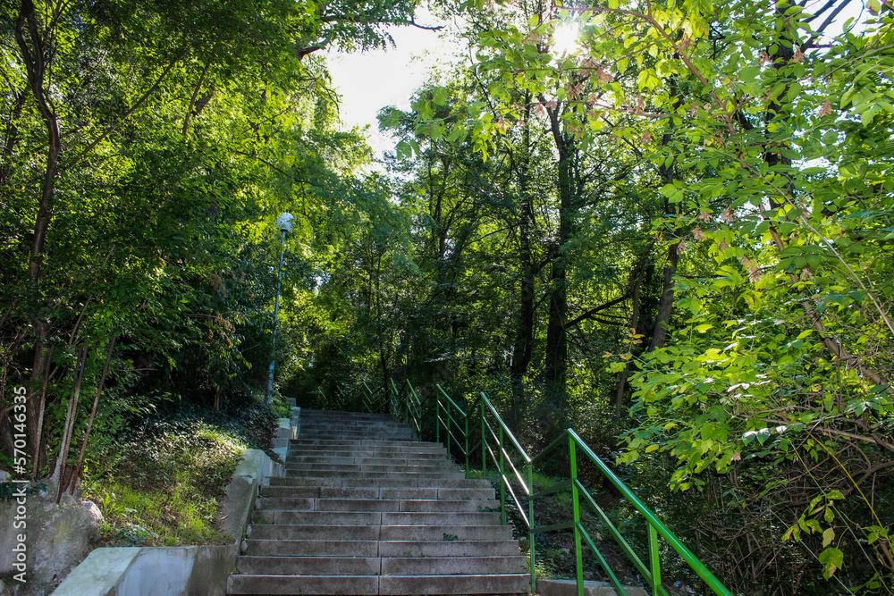 Obraz premium autumn park