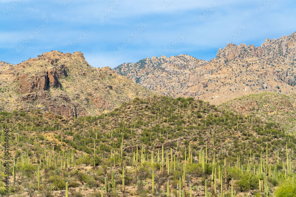 Towering cliffside mountains in the hills of sonora desert in arizona midday afternoon with white and blue sky Towering cliffside mountains in the hills of sonora desert in arizona midday afternoon with white and blue sky