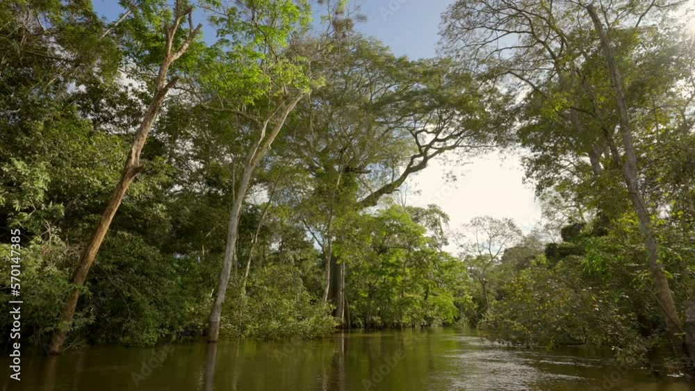 Point Of View Of Rippled Amazon River Amidst Green Forest Trees - Manaus, Brazil Point Of View Of Rippled Amazon River Amidst Green Forest Trees - Manaus, Brazil