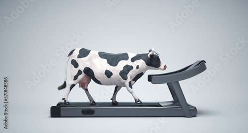 Cow running on trademill. Weight loss and fitness concept.