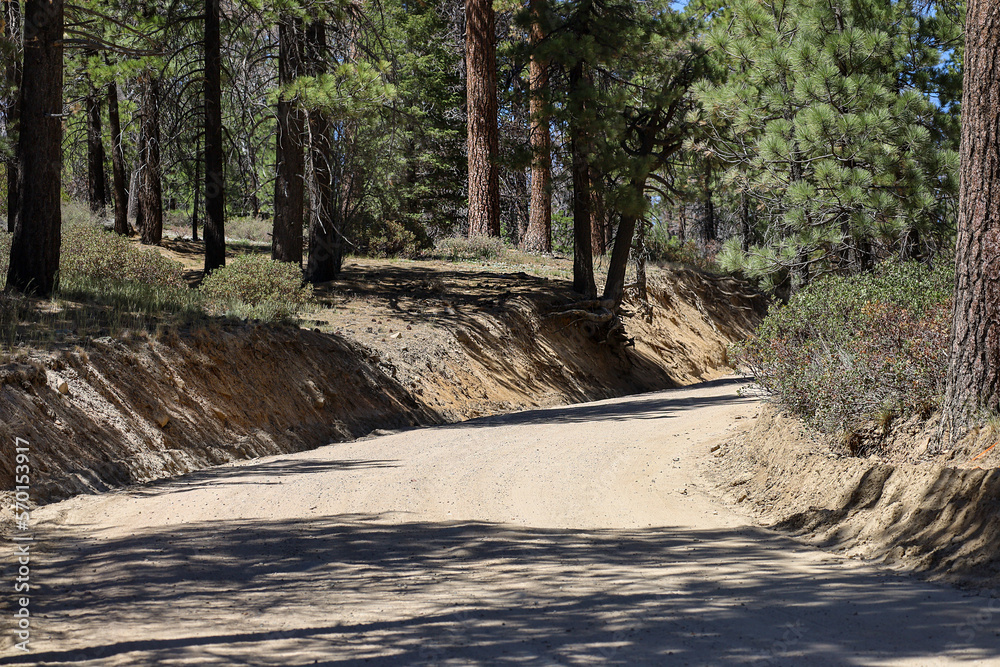 An unpaved road at San Bernardino National Forest in Southern California. Big Bear Lake road to