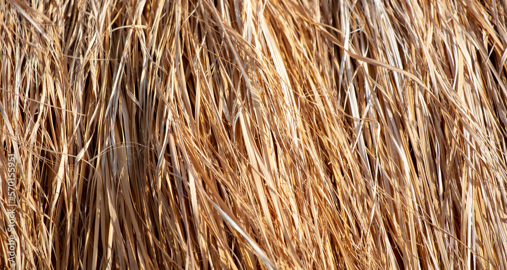 Dry hay as an abstract background.