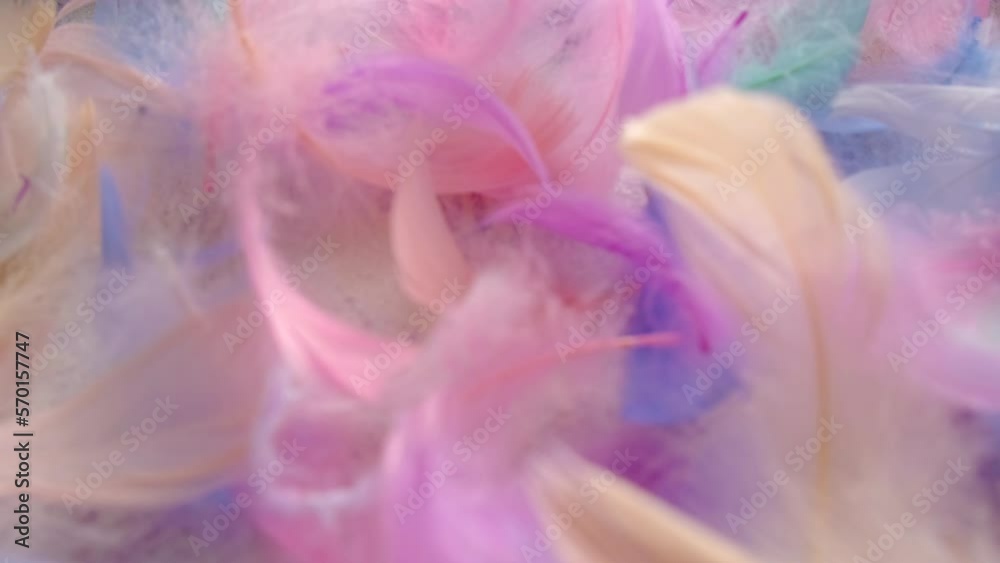 Beautiful multi-colored feather soft and fluffy. Selective focus.