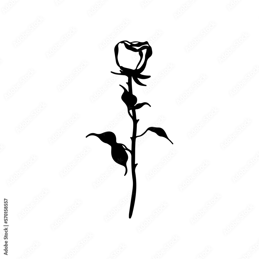 Obraz premium vector illustration of a black rose