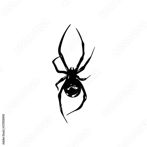 vector illustration of black spider © ahmad yusup