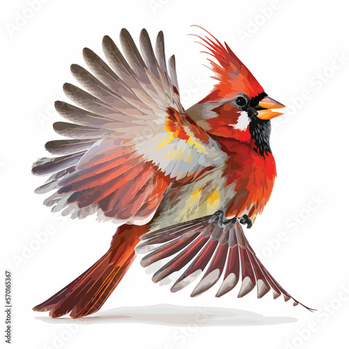 Watercolor Colorful Northern Cardinal Vector Design
