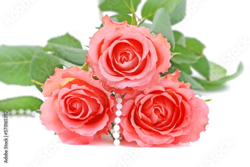 Bouquet of  pink roses on white.