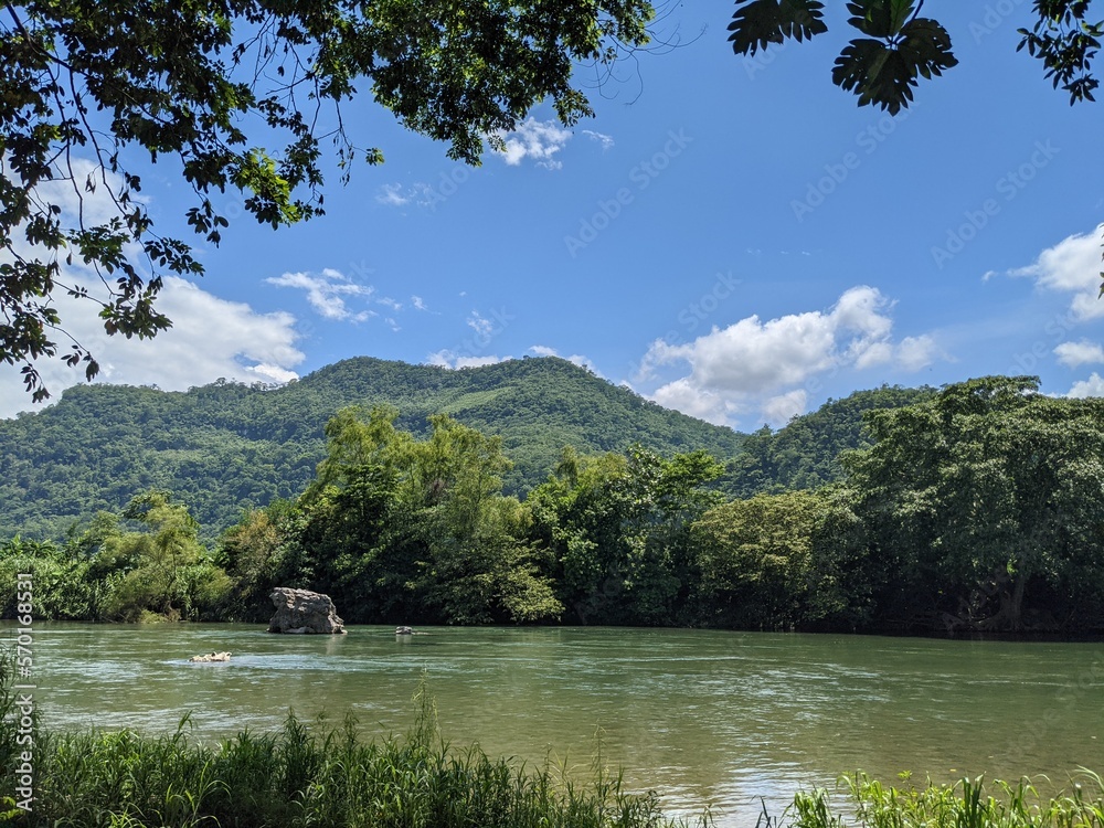Fototapeta premium river witrh the mountains background in a tropical mexican jungle, state of oaxaca, mexico 