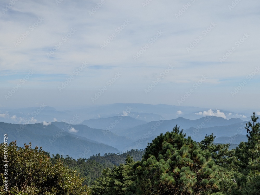 landscape of different mountains with clouds in the 
mountain range of oaxaca, mexico, blue sky morning, with a forest full of pine trees