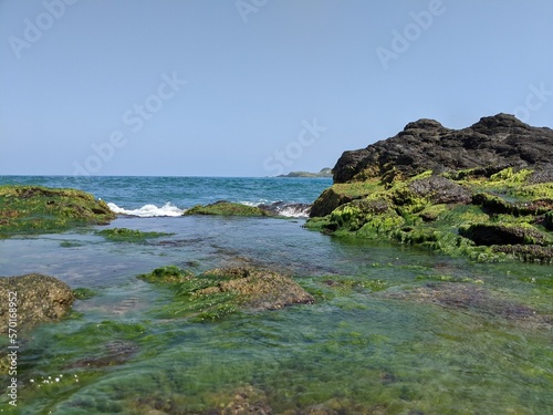 coast of the region sea, with kelp, deep blue sea in the background in veracruz, roca partida park, and cliffs