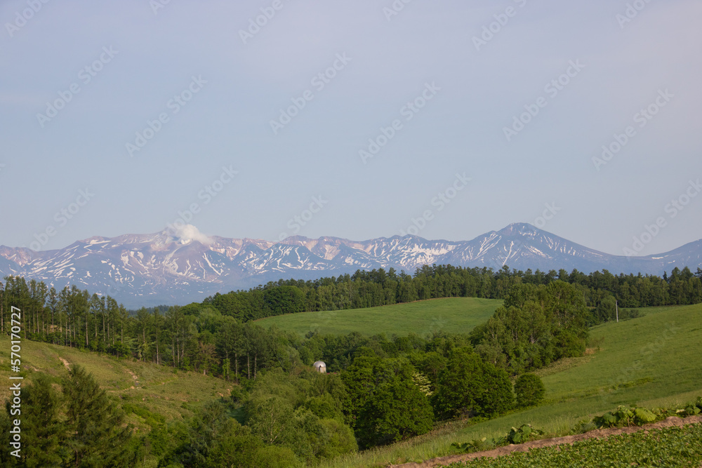 緑の丘陵畑作地帯と残雪の山並み
