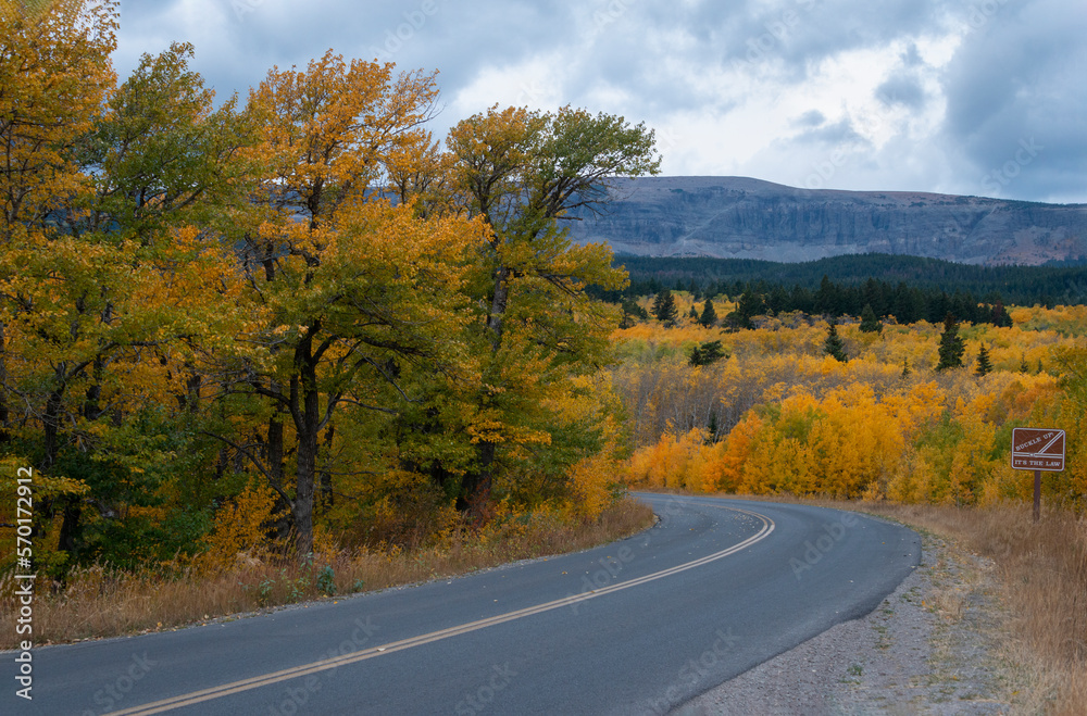 Glacier National Park in autumn, road sign with words “Buckle Up, It’s the Law”. Montana, USA Glacier National Park in autumn, road sign with words “Buckle Up, It’s the Law”. Montana, USA