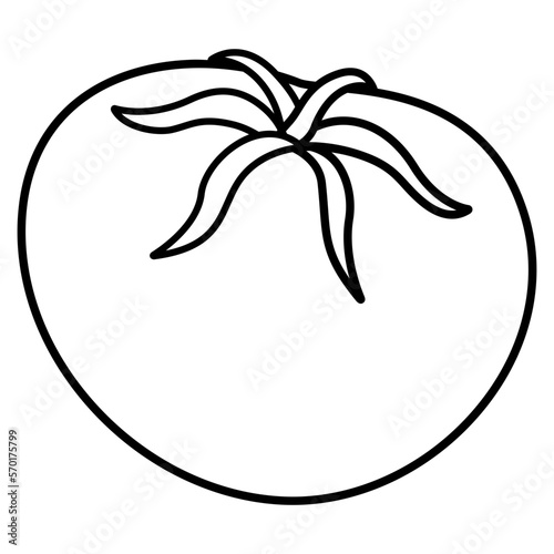 Fototapeta Naklejka Na Ścianę i Meble -  tomato icon illustration