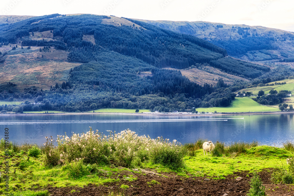 Fototapeta premium Loch Long, Cove, Scotland