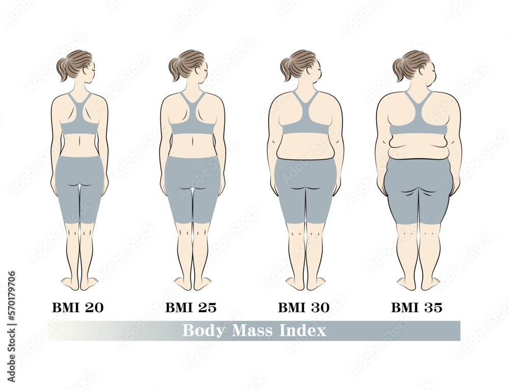 Plakat 若い美人女性の後ろ姿 BMI(ボディマスインデックス) 指数別の体型の一覧 イラスト ベクター Back view of a