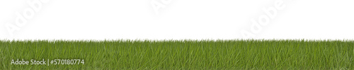 Green Grass isolated on PNG Transparent background.