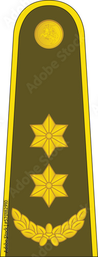 Shoulder pad military officer mark for the PULKININKAS LEITENANTAS (LIEUTENANT COLONEL) insignia rank in the  Lithuanian Land Force