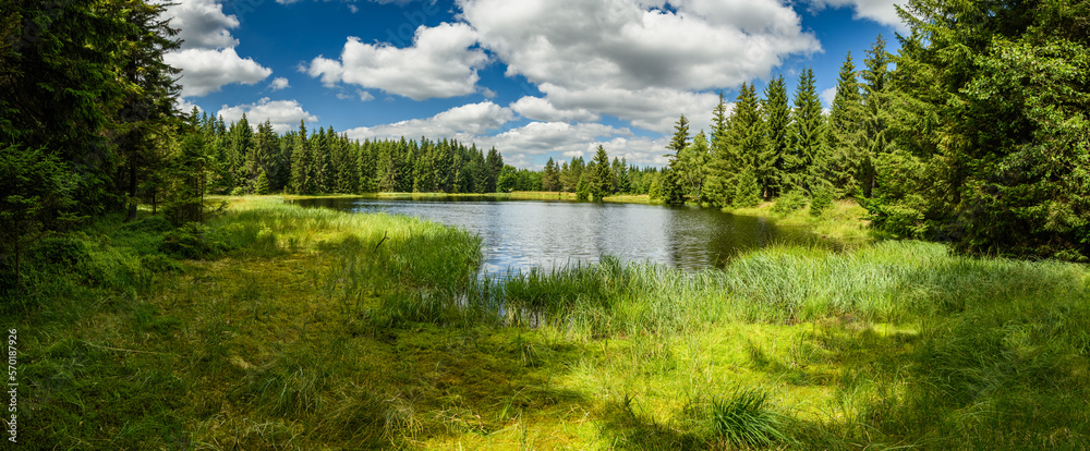 Mountain lake in the forest panorama - obrazy, fototapety, plakaty 