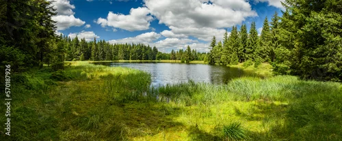 Panel kuchenny z motywem Mountain lake in the forest panorama