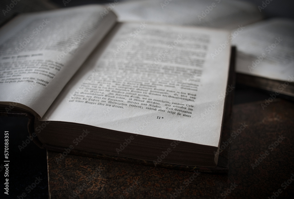 Obraz premium alte Bücher