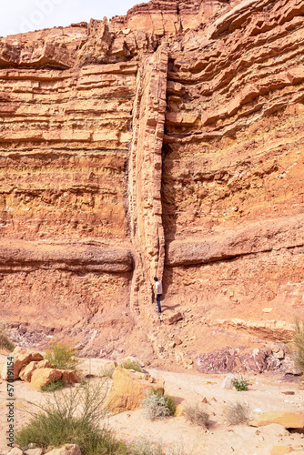 a long tall vertical magmatic igneous dike cuts through red and orange horizontal layers of sedimentary rock in the Nahal Ardon stream bed in Makhtesh Ramon in Israel