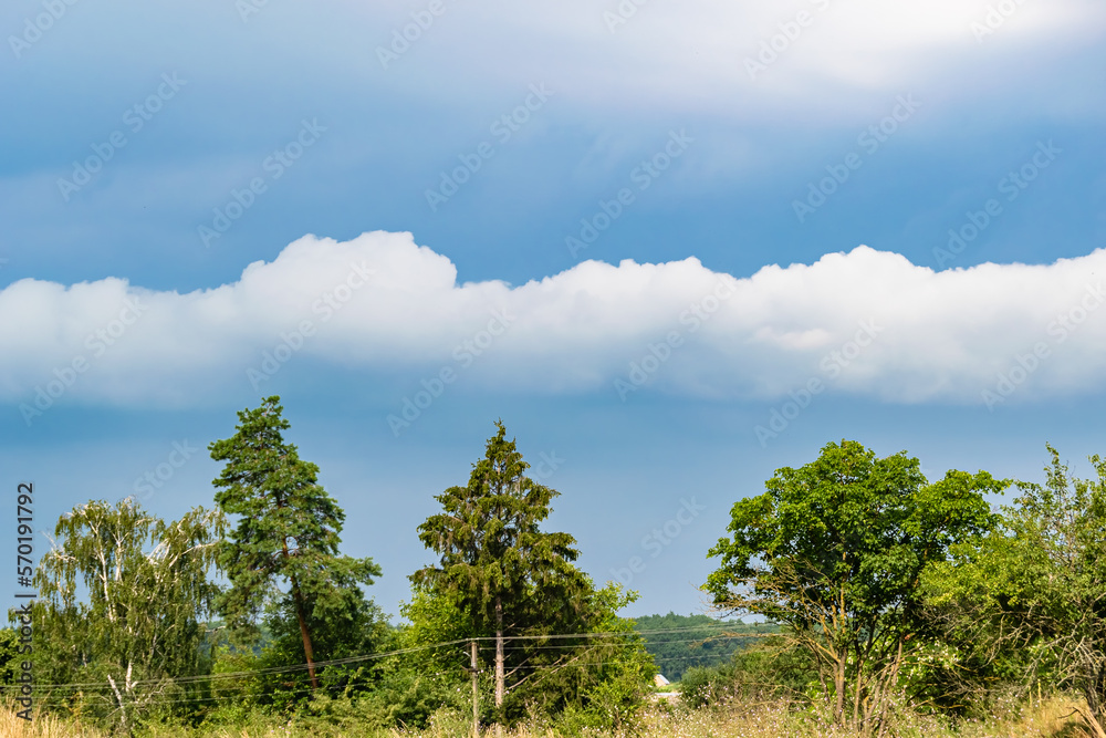 Obraz premium Beautiful horizon scenery in village meadow on color natural background
