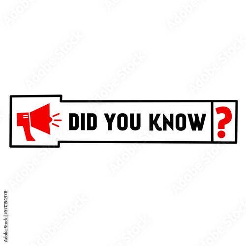 did you know text with megaphone icon. concept of wise council or funny facts for learning and expert tutorial. Flat vector illustration.