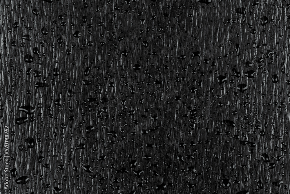 Fototapeta premium Water drops on dark stone