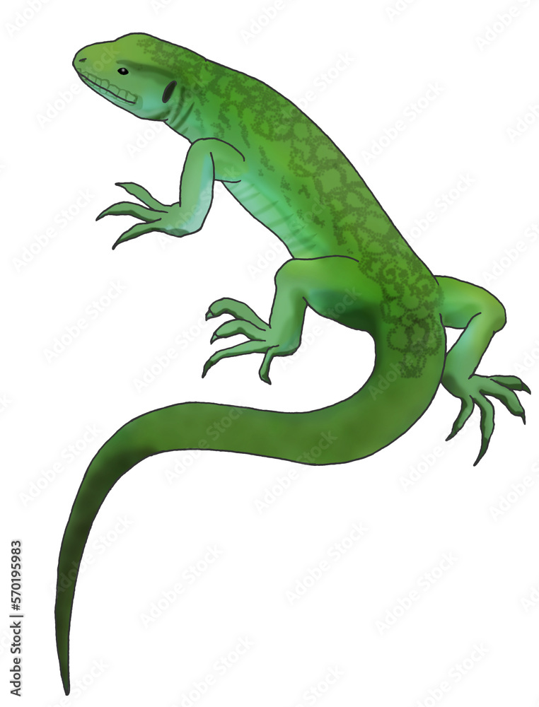 Naklejka premium lizard illusrtration side view isolated