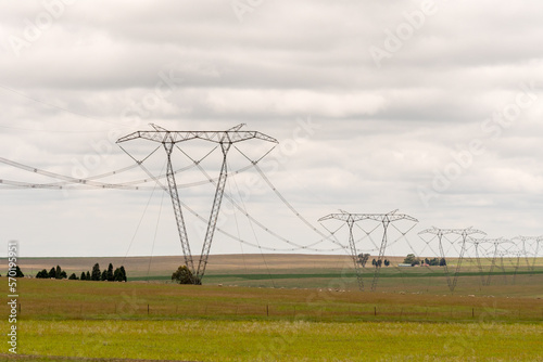 power lines on a field in a farming environment or agricultural landscape of South Africa concept energy crisis