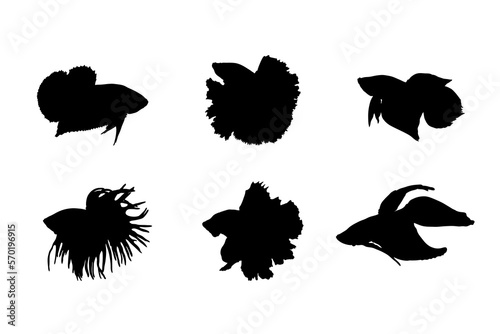 Set of silhouettes of betta fish vector design