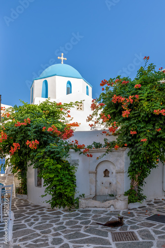 Traditional Cycladitic alley with a narrow street, a whitewashed churches  with a blue dome and  blooming flowers in parikia, Paros island, Greece.