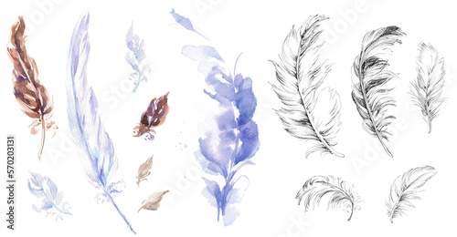 PNG Big set of feathers on transparent background. Watercolor and ink illustration in violet, brown and black colors.