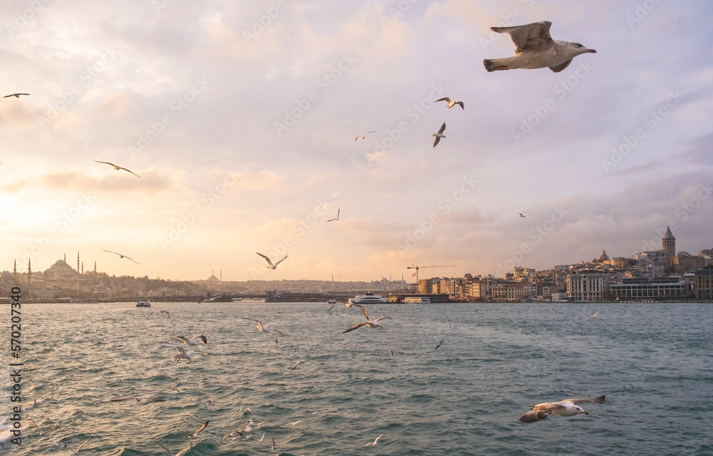 Sunset in the Bosphorus and the view of the historical peninsula. Sunset view from the sea in Istanbul. Istanbul silhouette. Hagia Sophia at the background. seagulls fly over the Bosphorus at sunset