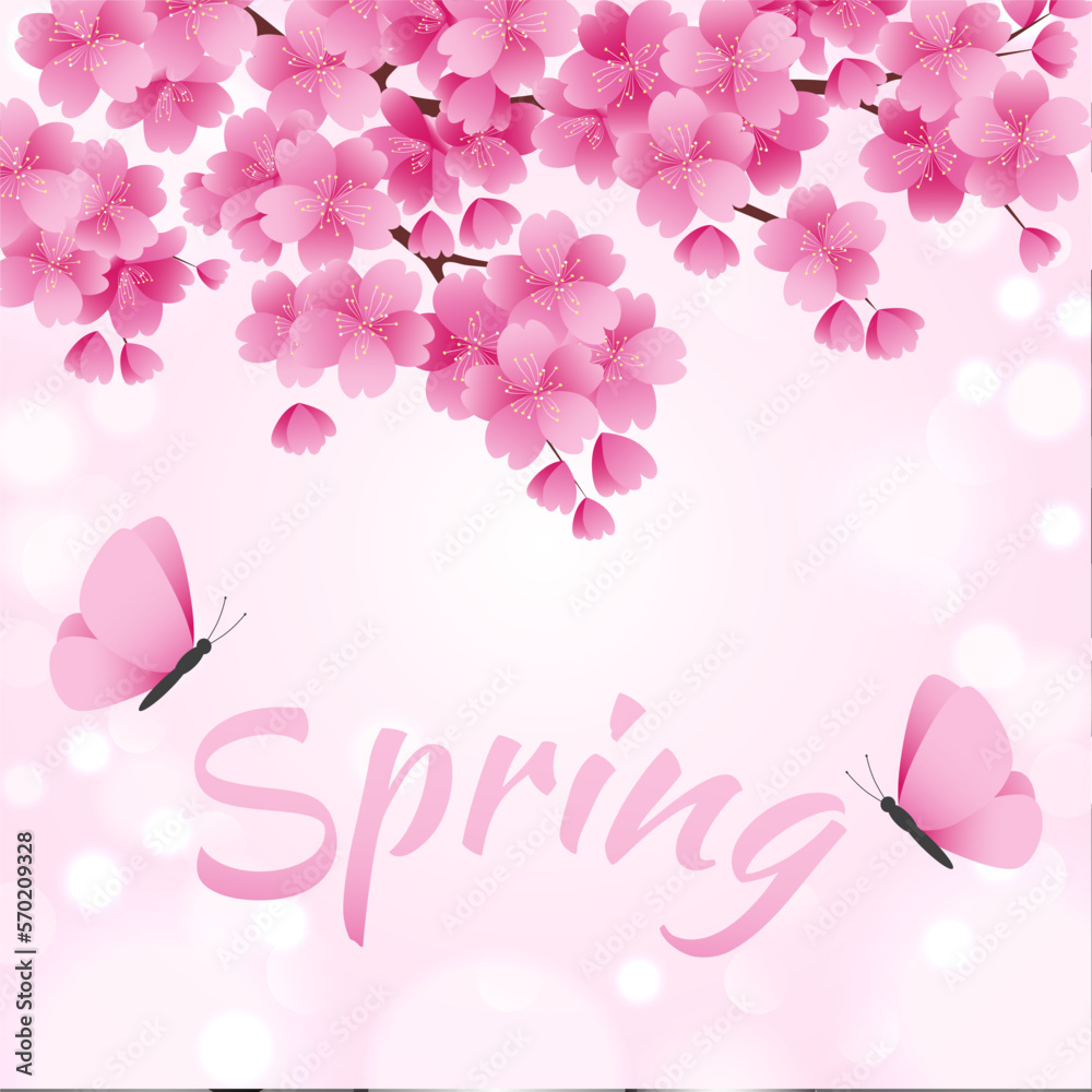 Blooming pink spring sakura, flying butterflies and calligraphic inscription. Vector illustration.
