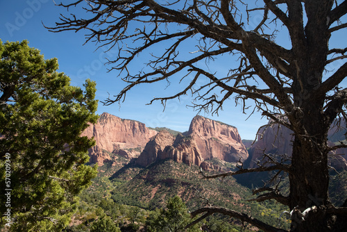 Beautiful landscape View from the top of Zion National Park