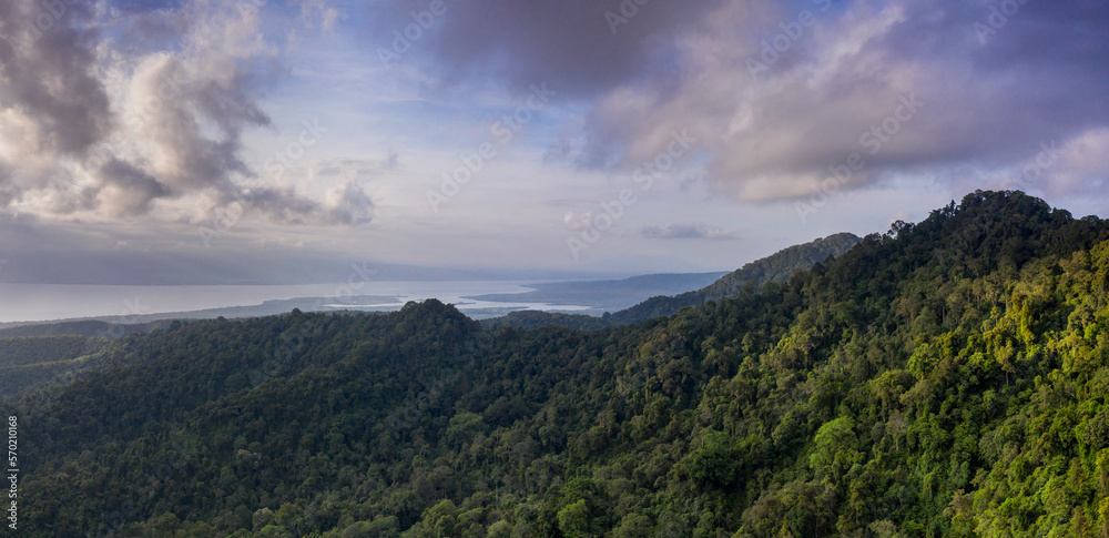 panorama of the mountainous rainforest in Negara in Bali Indonesia