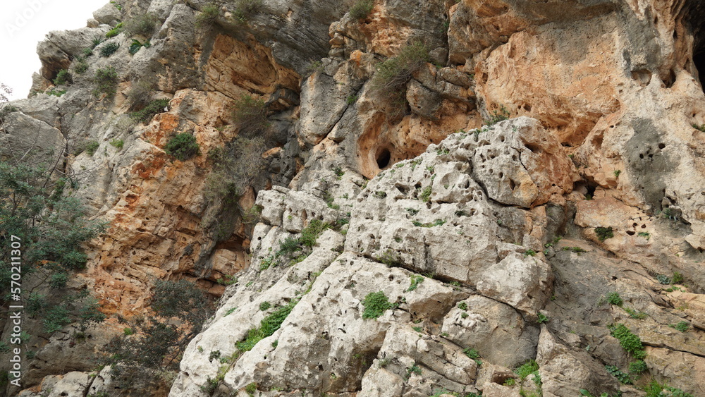 Landscape in Nahal (creek) Oren, at the west side of Mount Carmel Landscape in Nahal (creek) Oren, at the west side of Mount Carmel