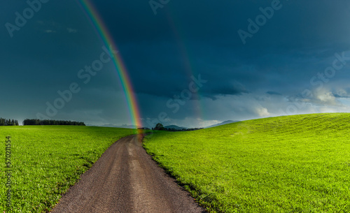 Strasse durch grüne Hügellandschaft